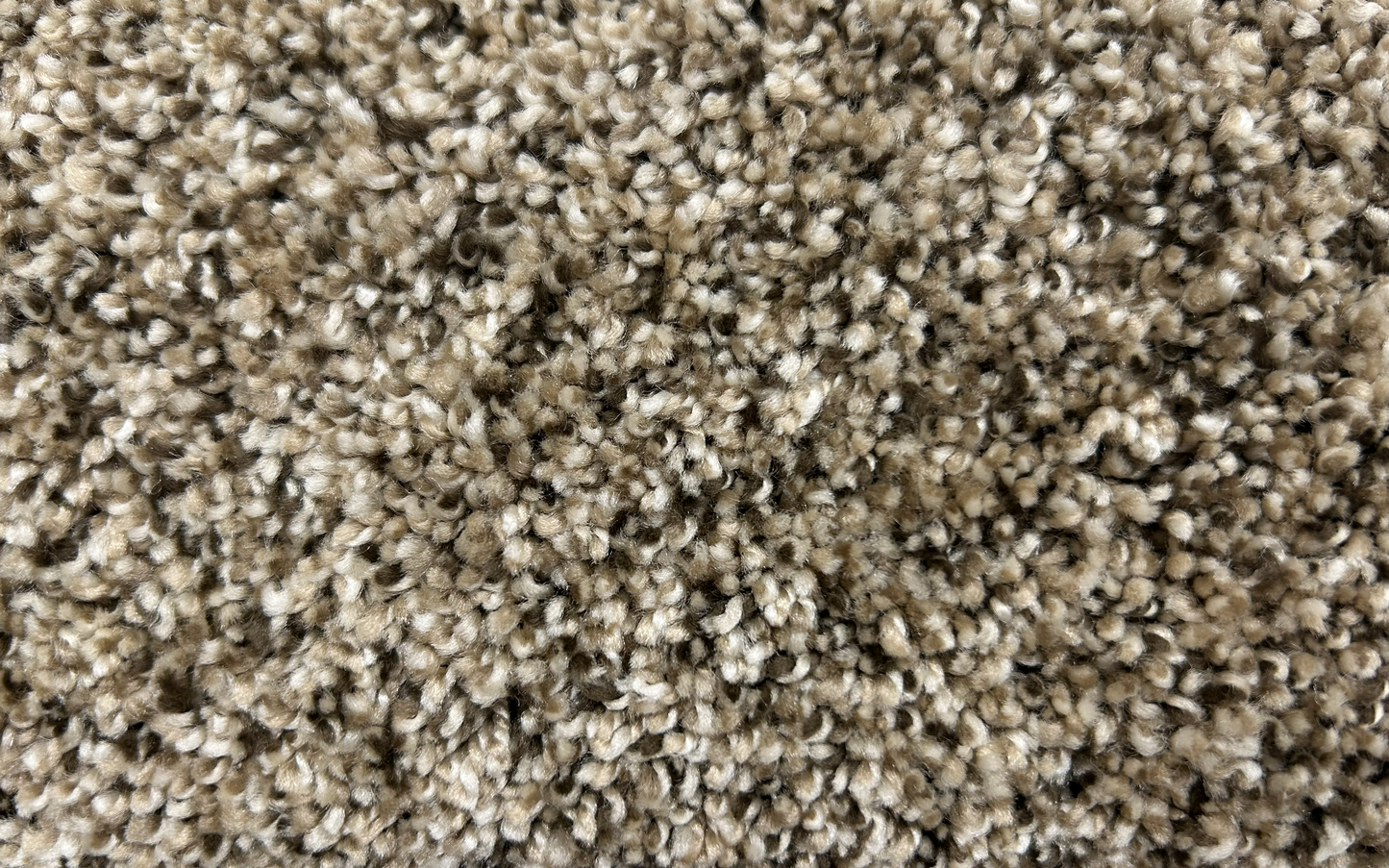 High-Def Timberline